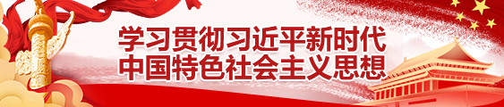 学习贯彻习近平新时代中国特色社会主义思想